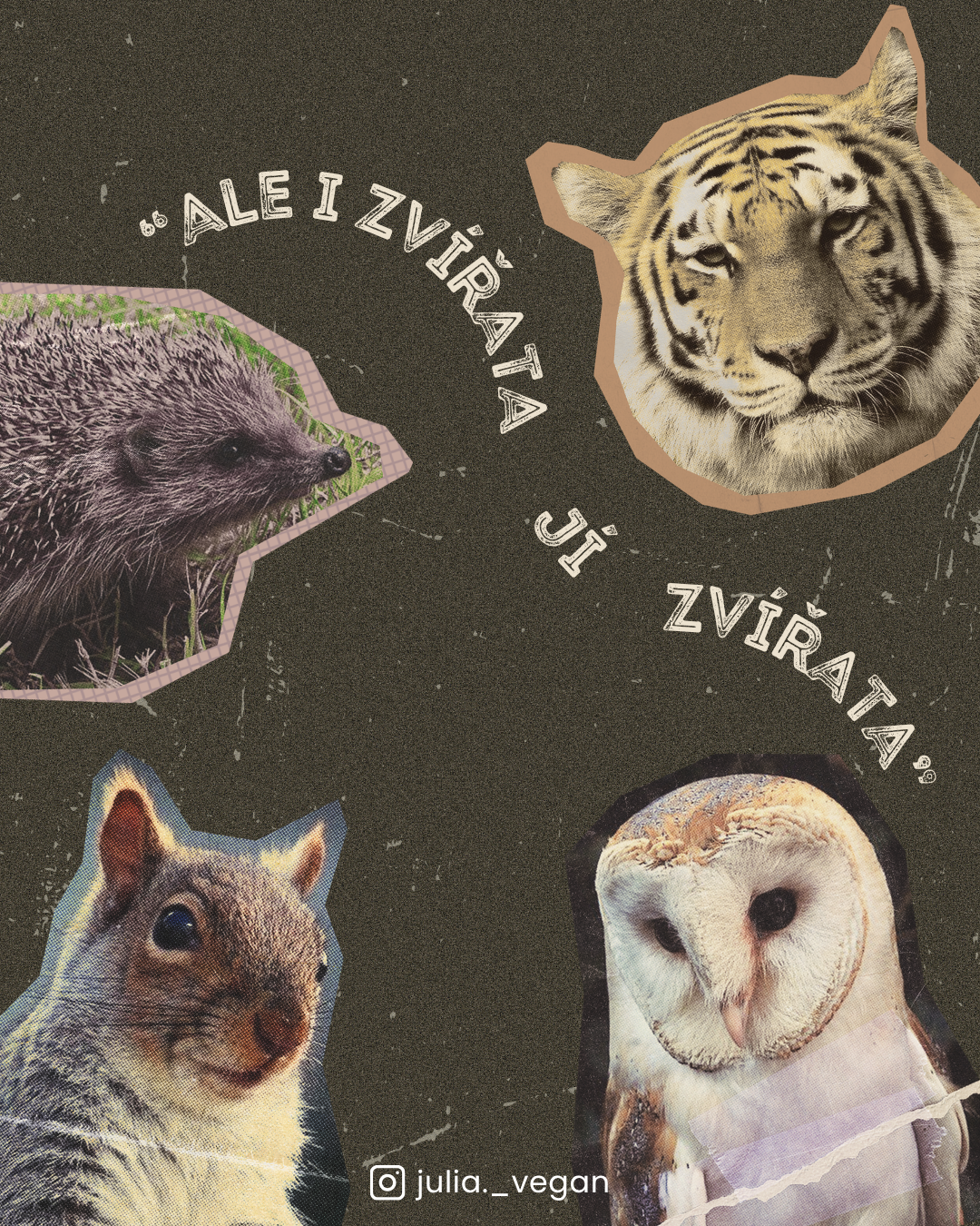 Ale i zvířata jí zvířata