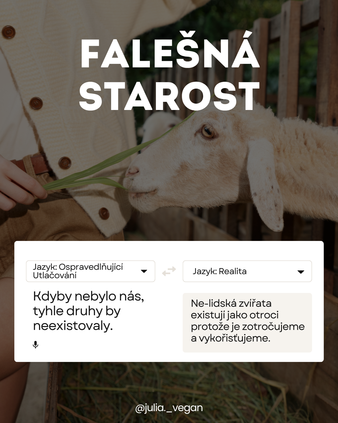 Falešná starost