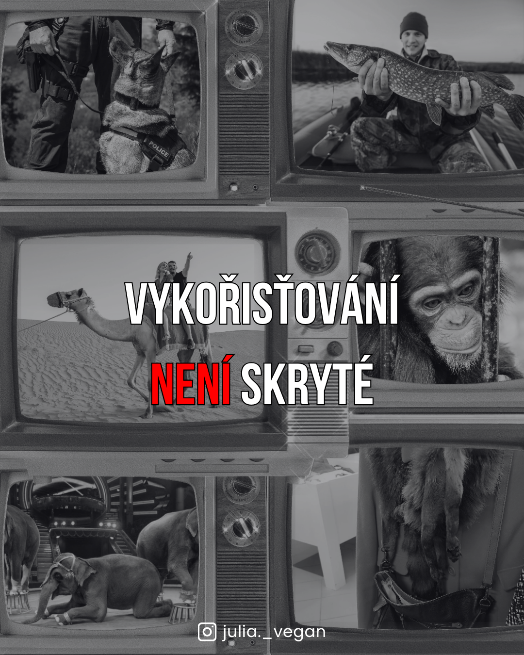 Vykořisťování není skryté