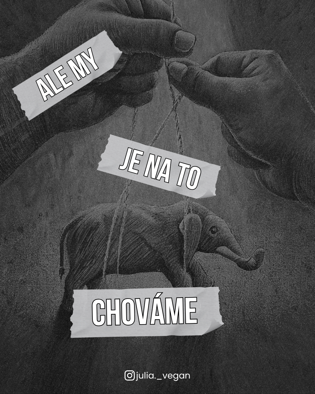 Ale my je na to chováme