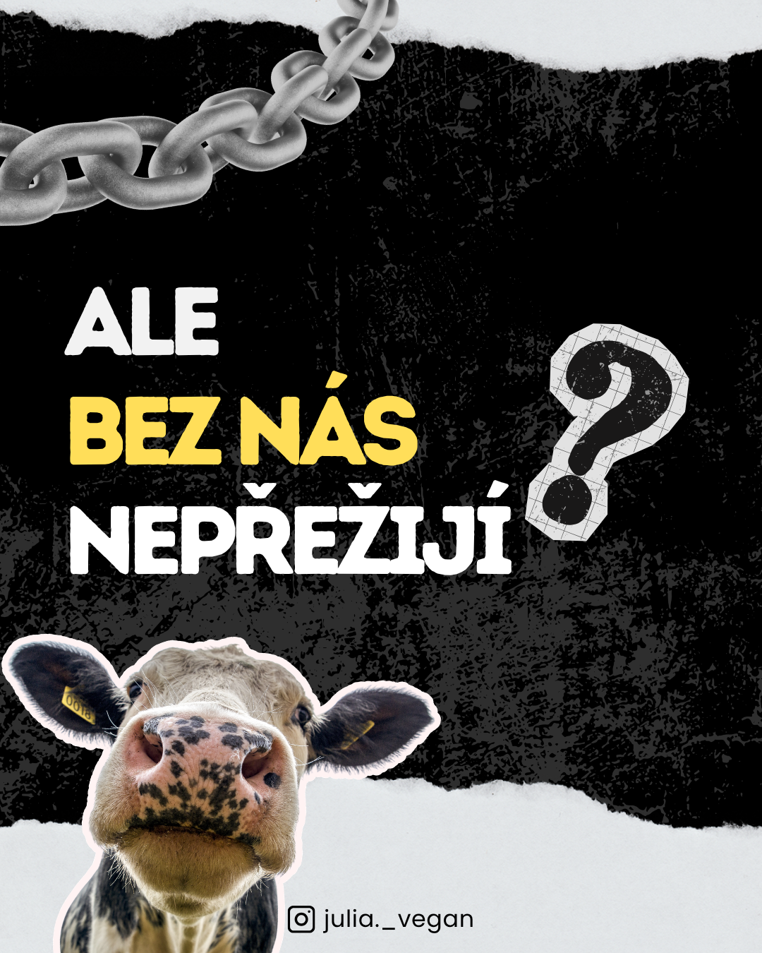 Ale bez nás nepřežijí
