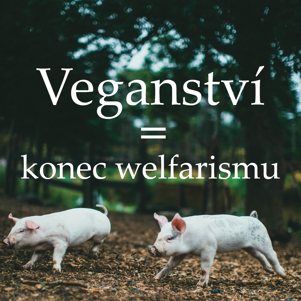 Veganství = konec welfarismu