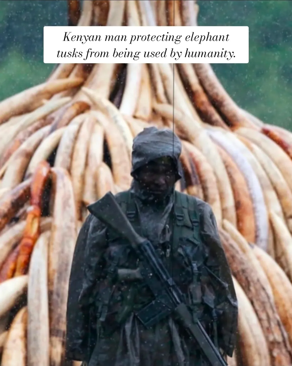 Protecting tusks from being used by humanity