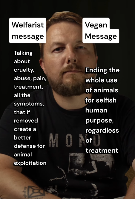 Welfarist message vs Vegan message