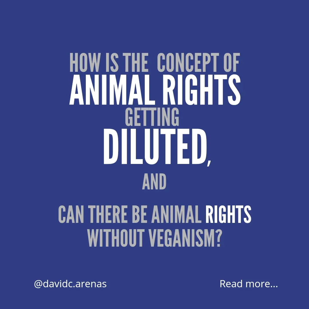 How the concept of animal rights is getting diluted