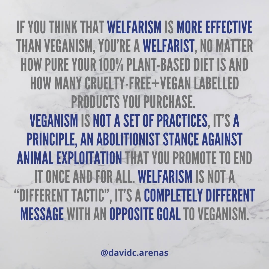 If you think welfarism is more effective, you are a welfarist