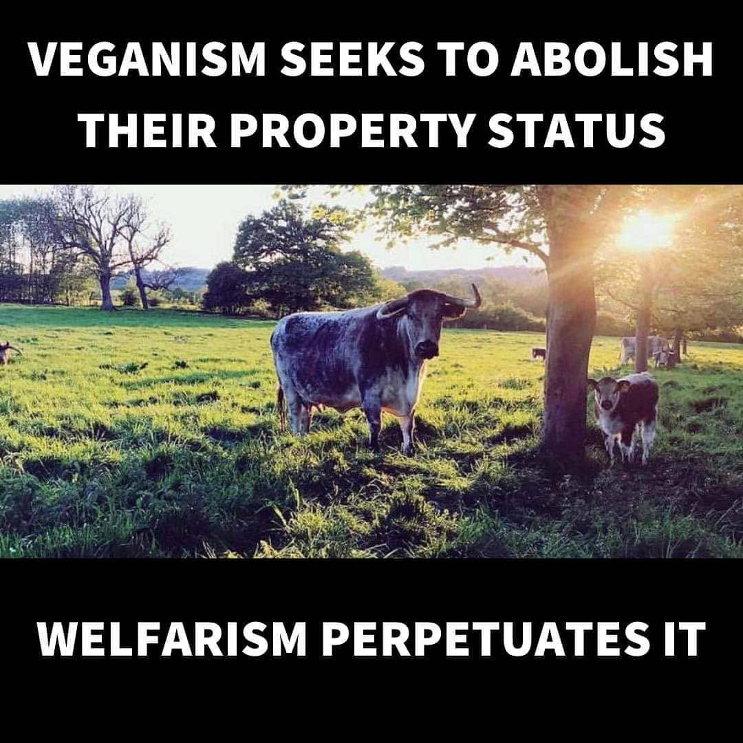 Veganism seeks to abolish their property status