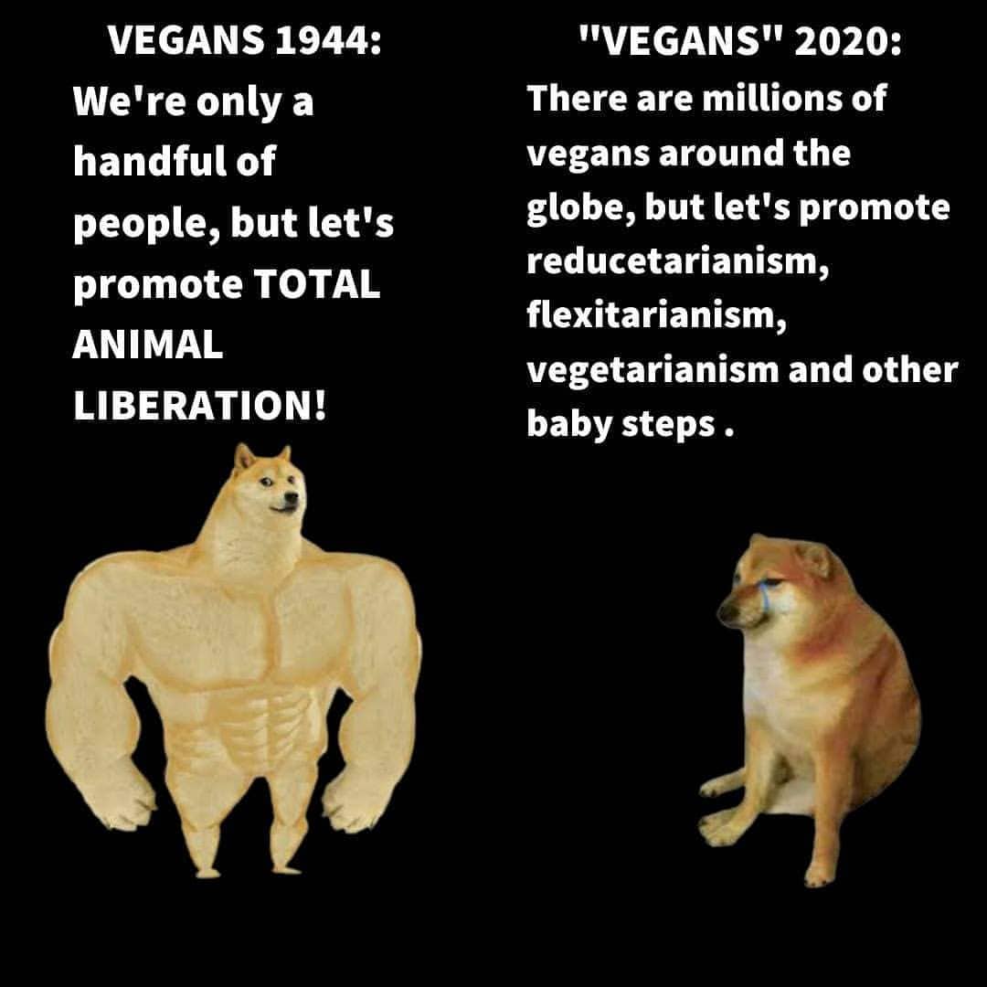 Vegans 1944 vs "Vegans" 202X1