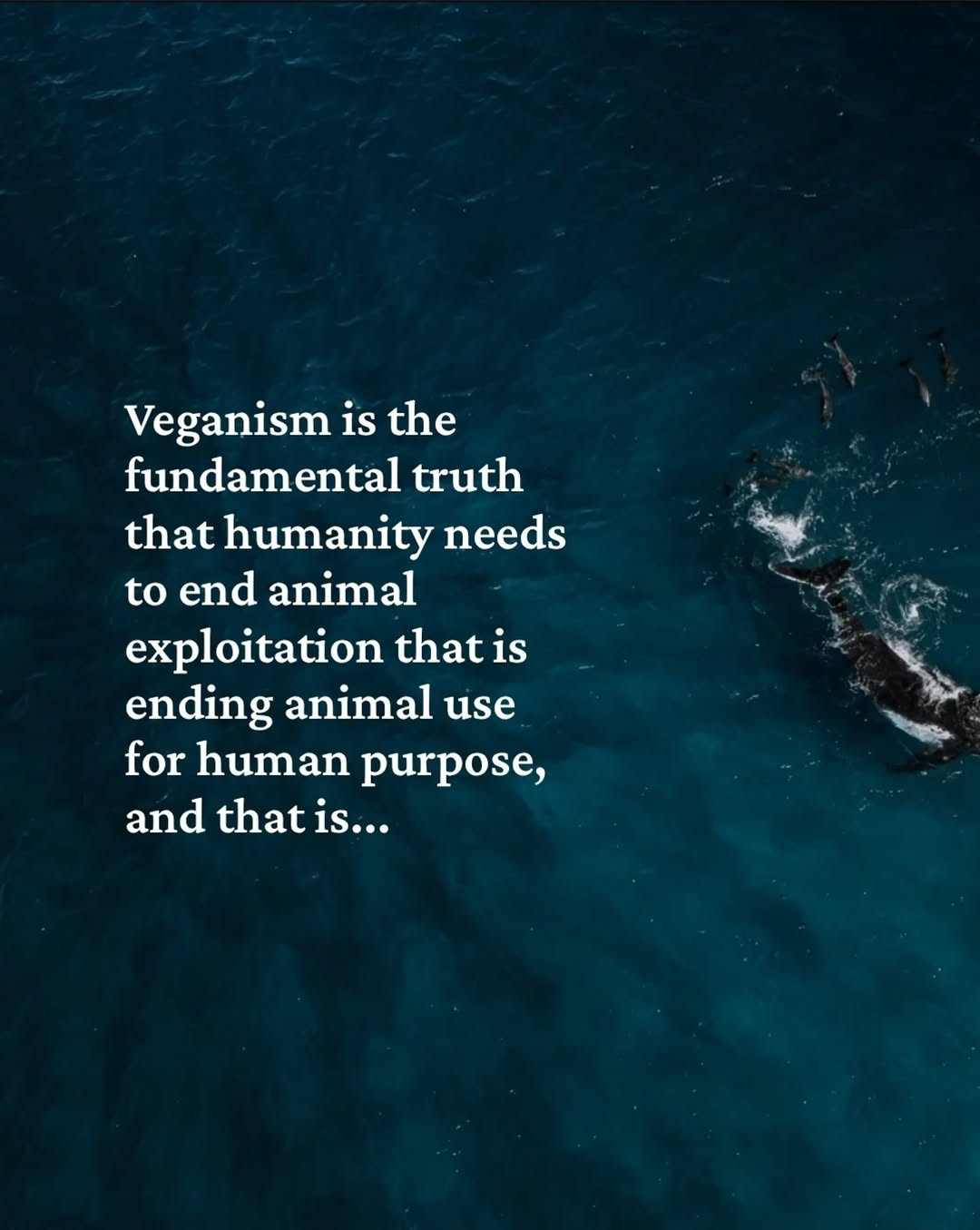 Veganism is the fundamental truth