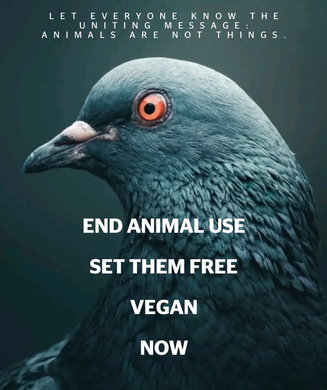 Let everyone know the uniting message