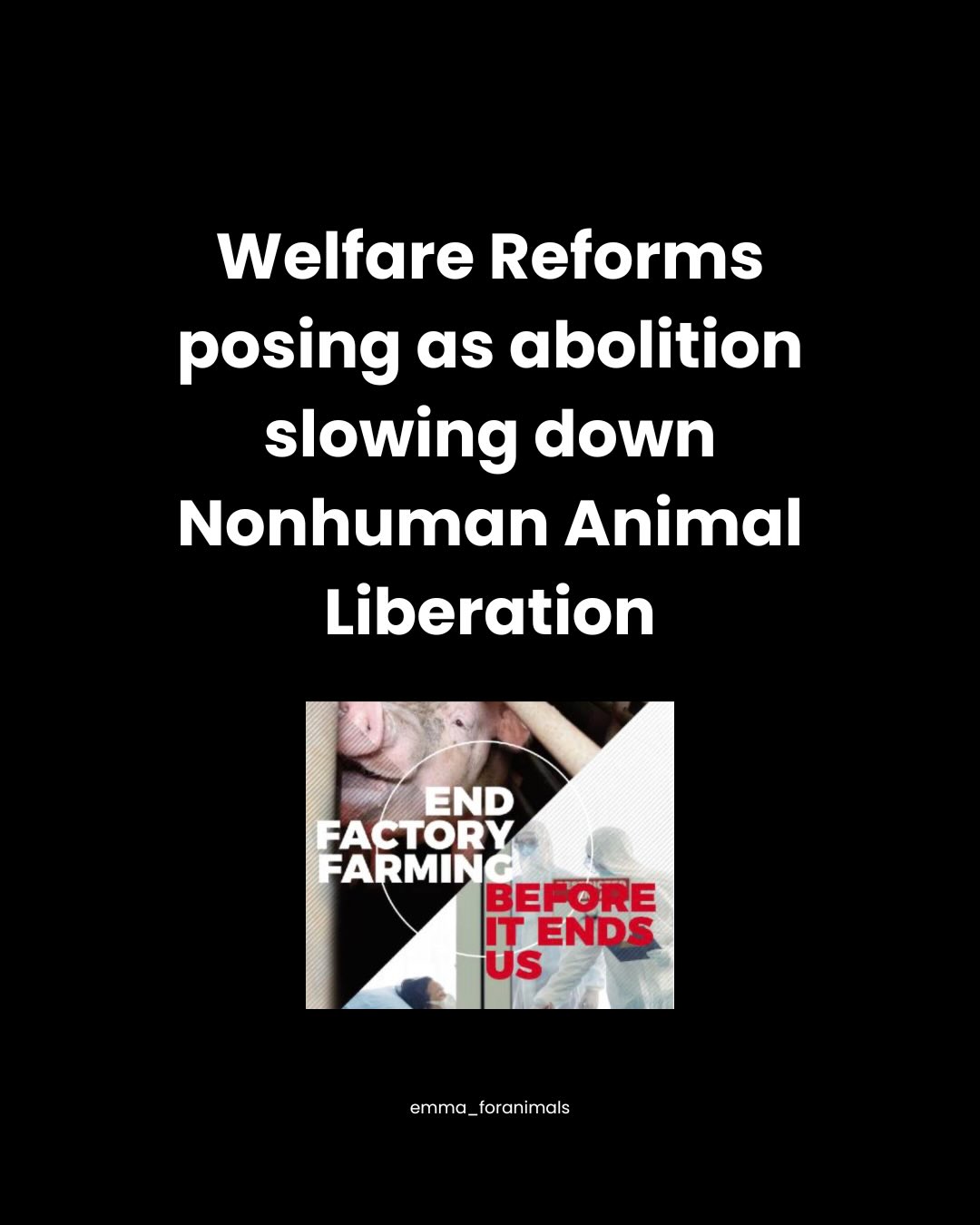 Welfare reforms posing as abolition slowing down nonhuman animal liberation