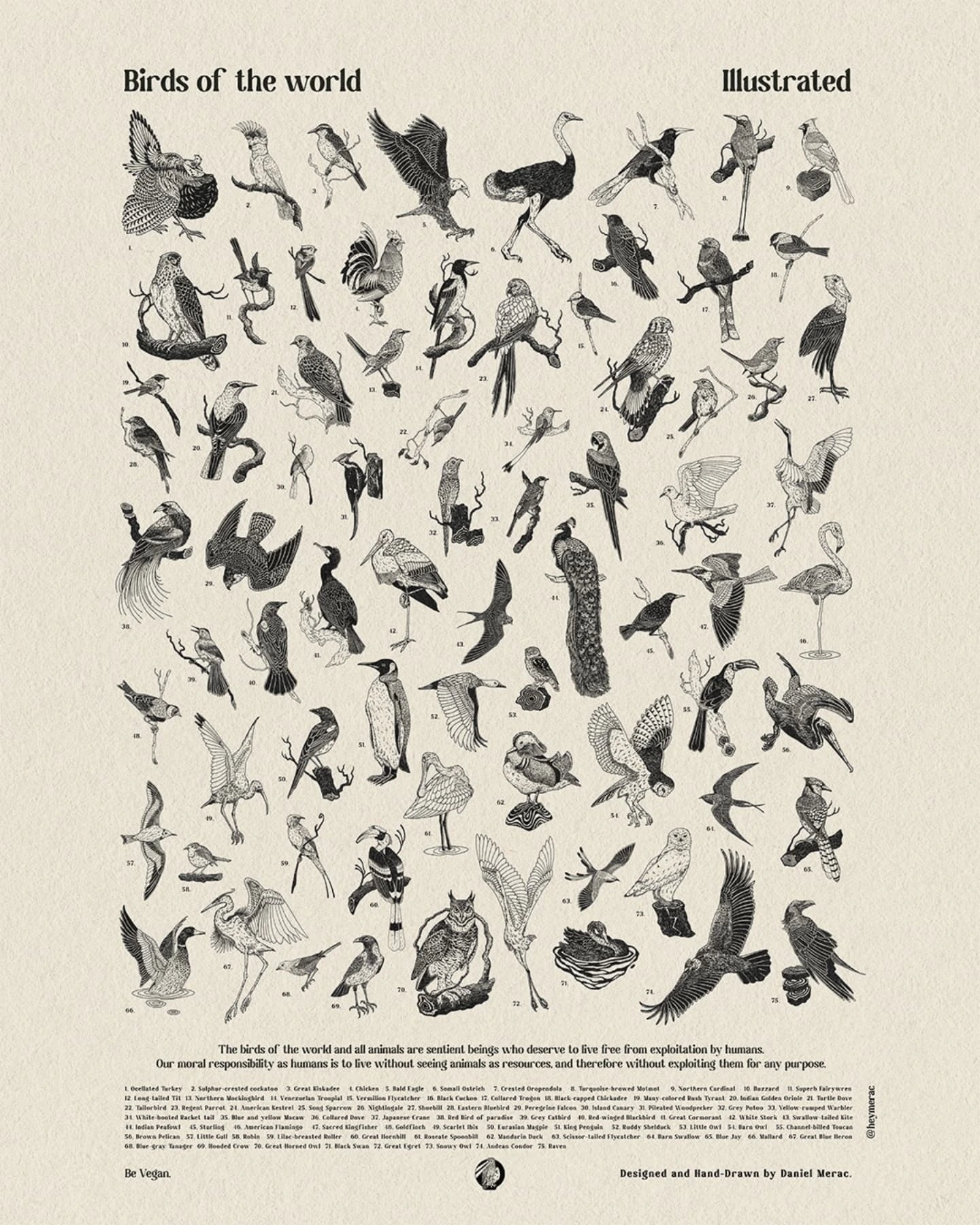 Birds of the world ✨🐓 Illustrated!