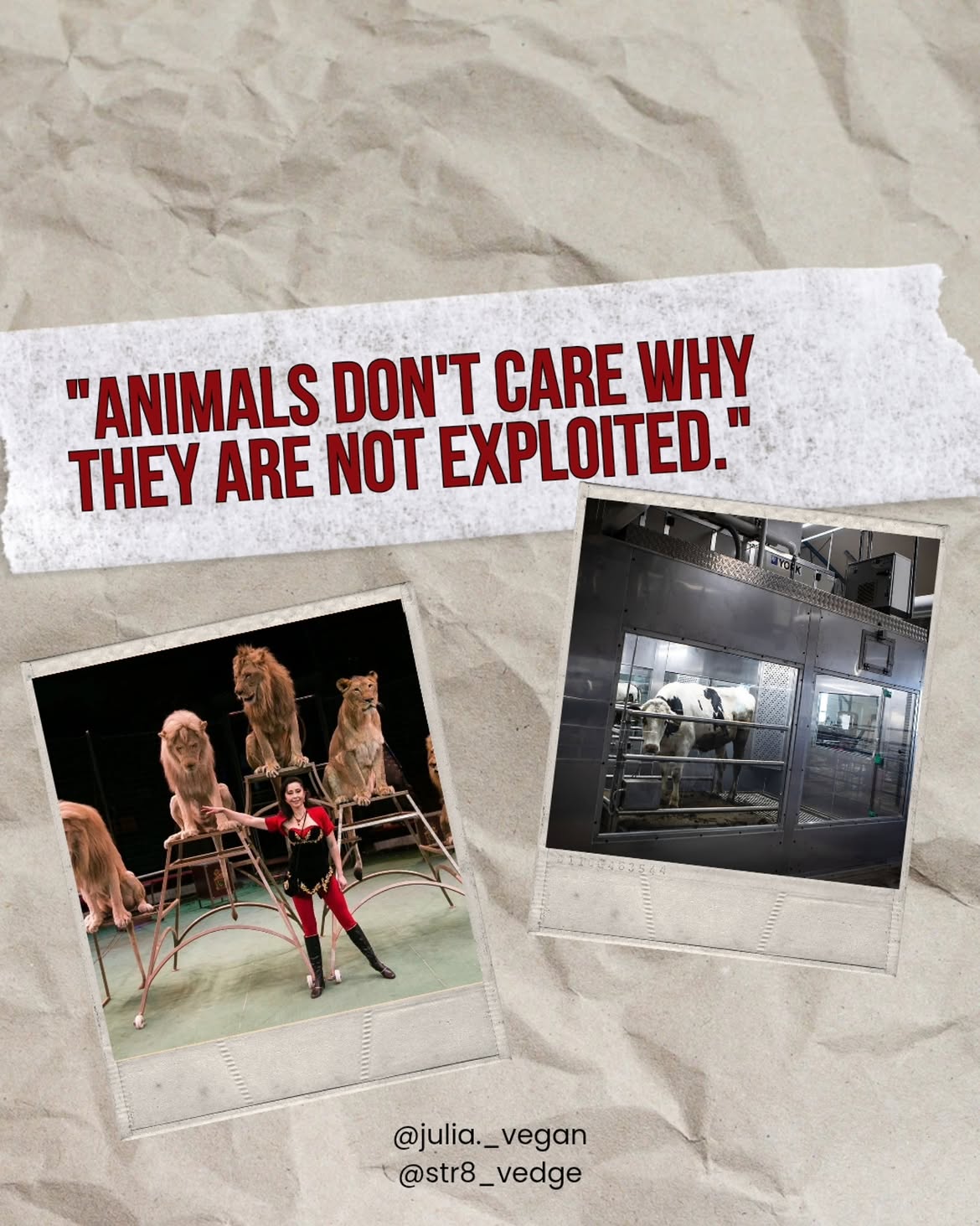 'Animals don't care why they are not being exploited'