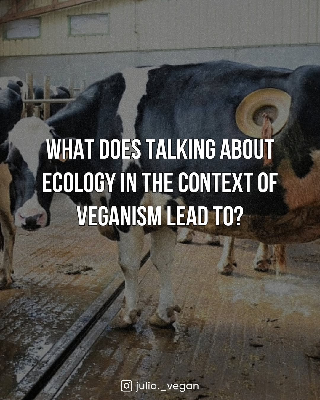What does talking about ecology in the context of veganism lead to? 
