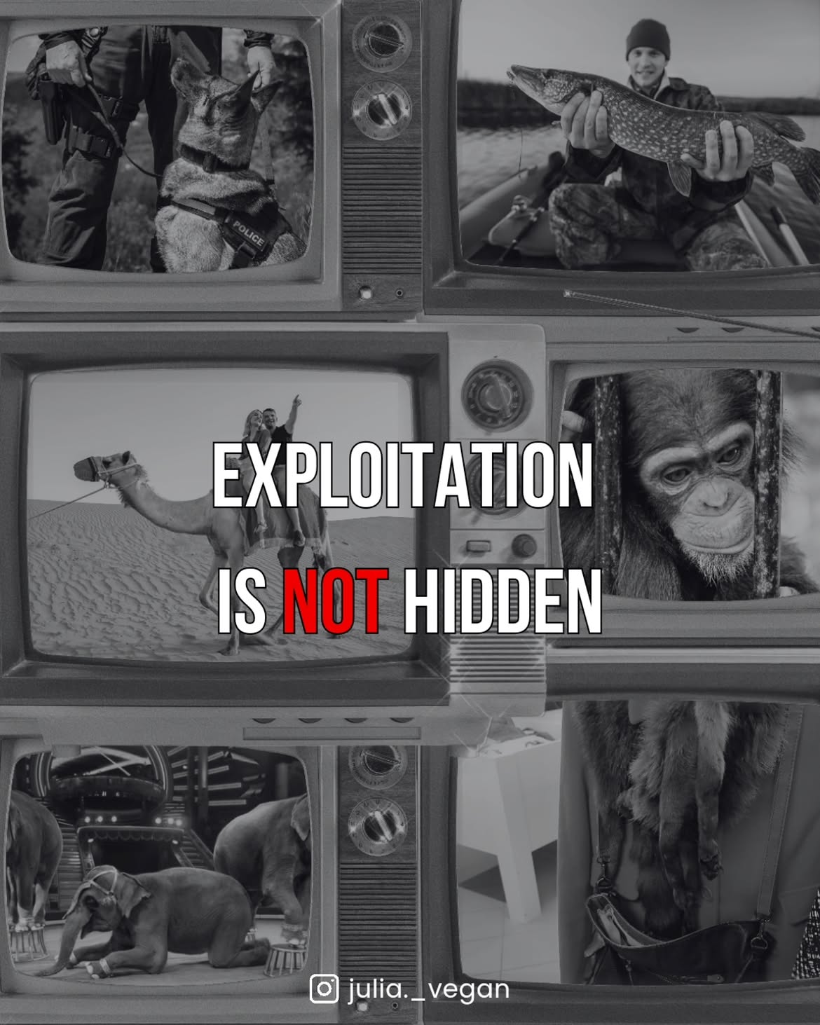 Exploitation is not hidden