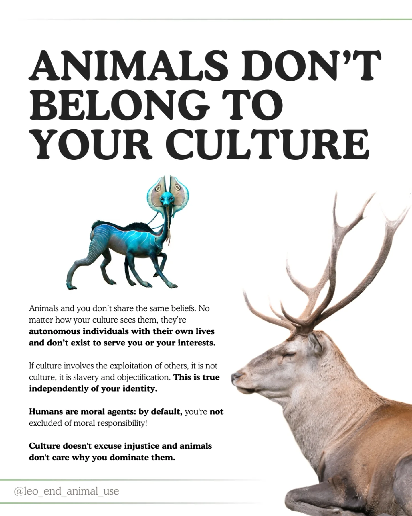 Animals don't belong to your culture