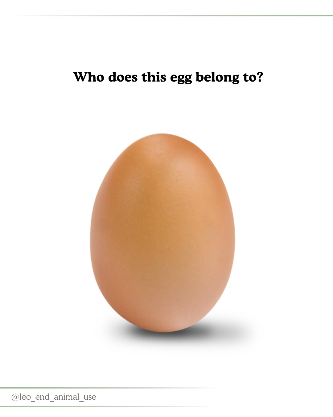 Who does this egg belong to?