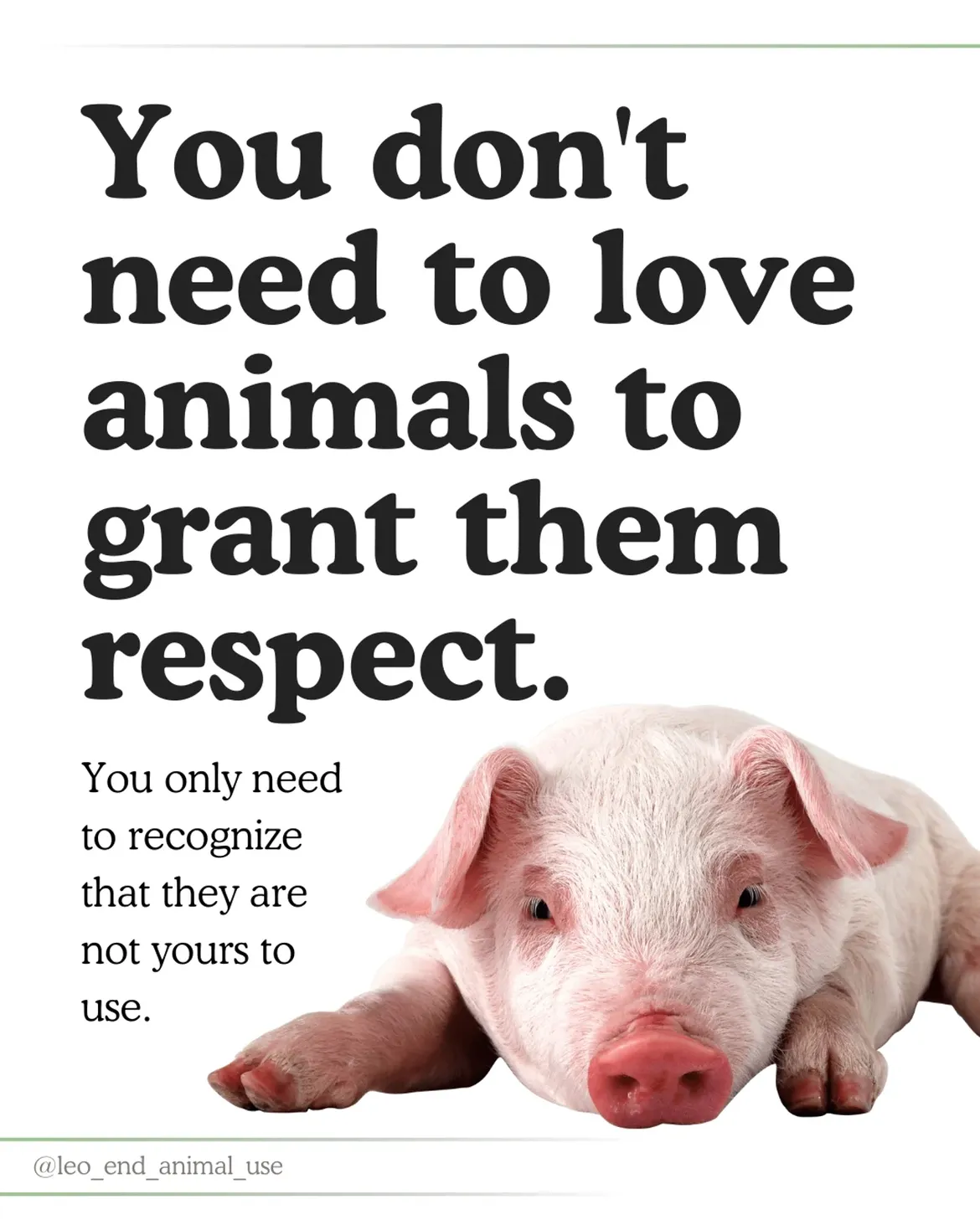 You don't need to love animals to grant them respect