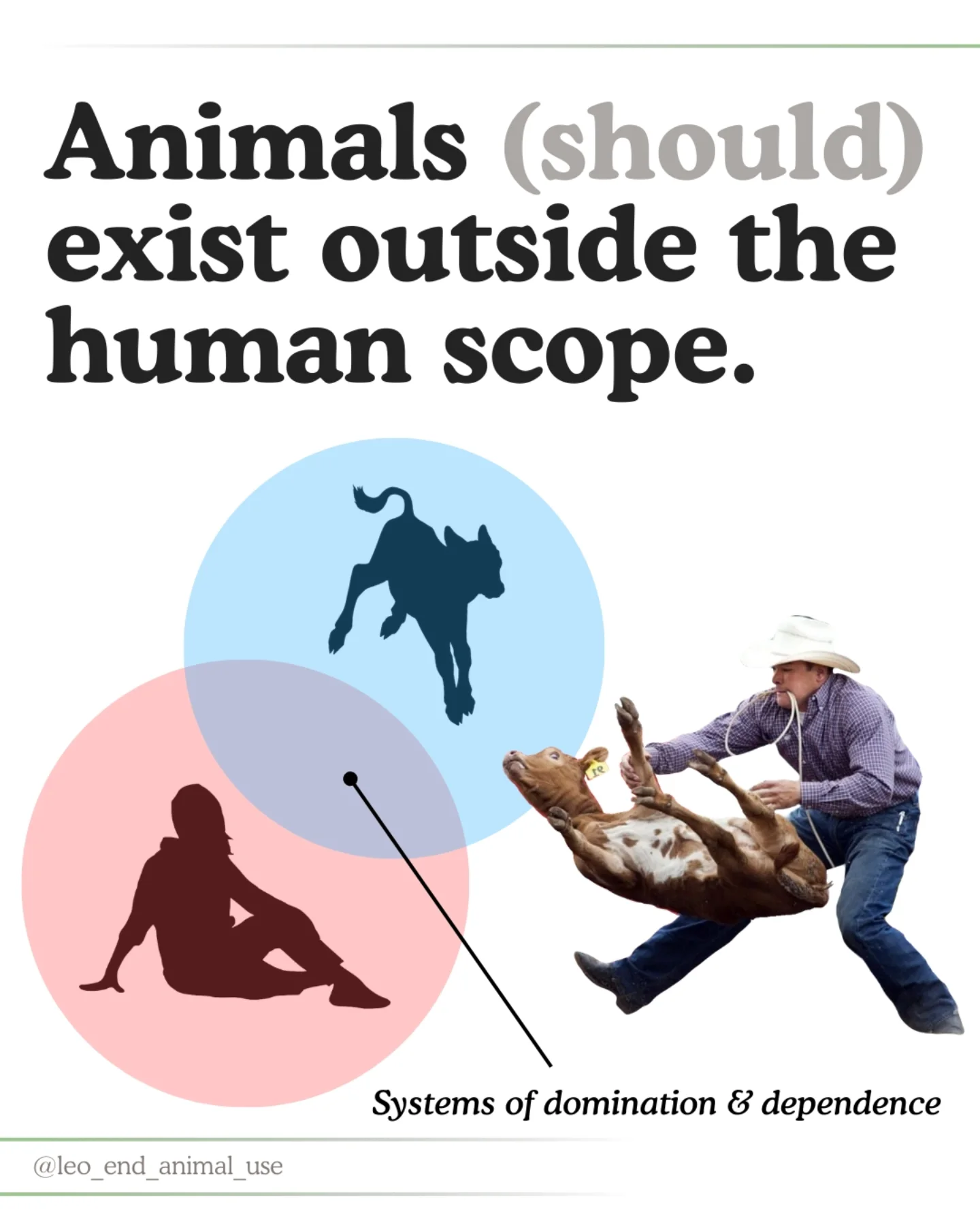 Animals (should) exist outside the human scope.