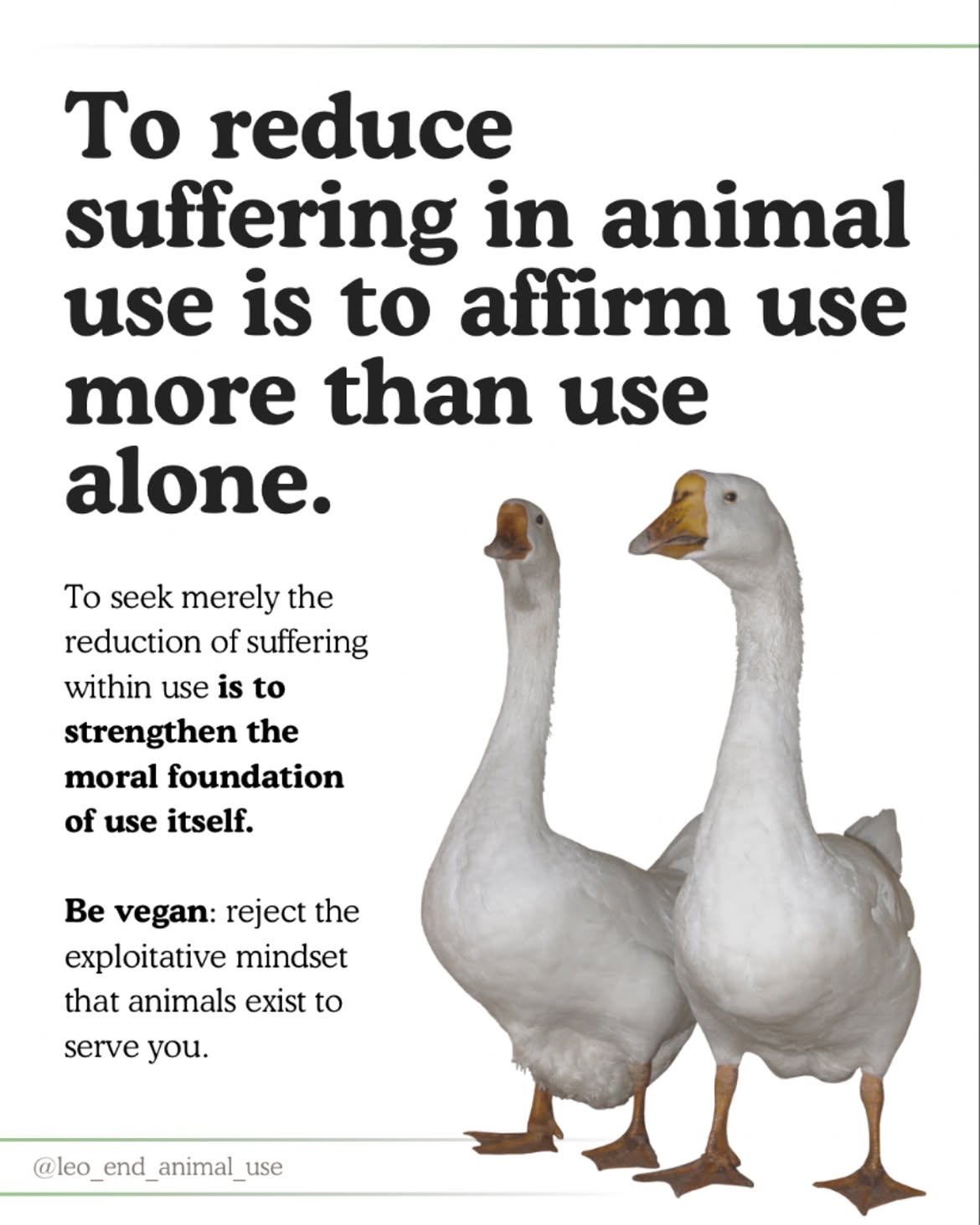 To reduce suffering in animal use is to affirm use more than use alone