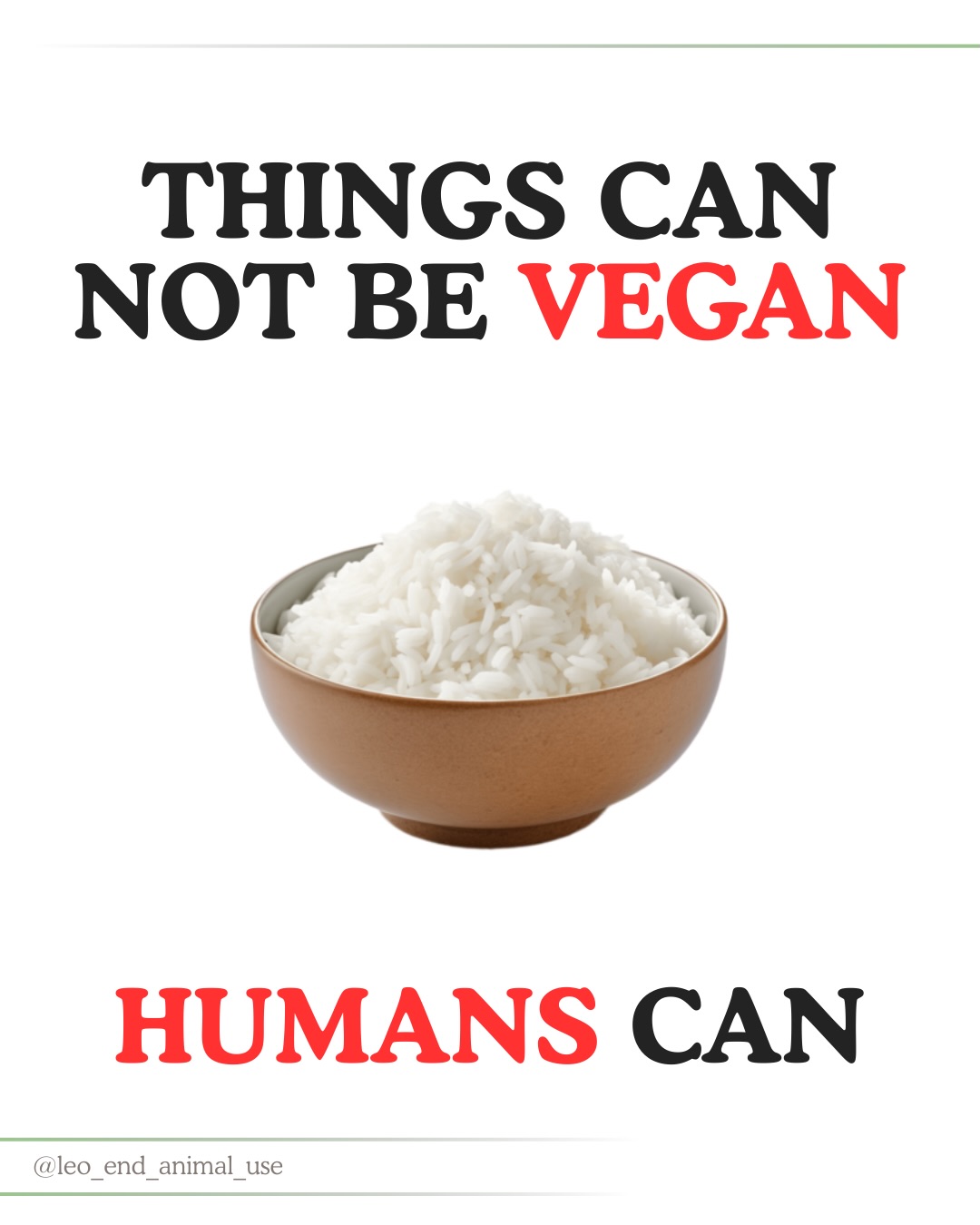Things can not be vegan - humans can