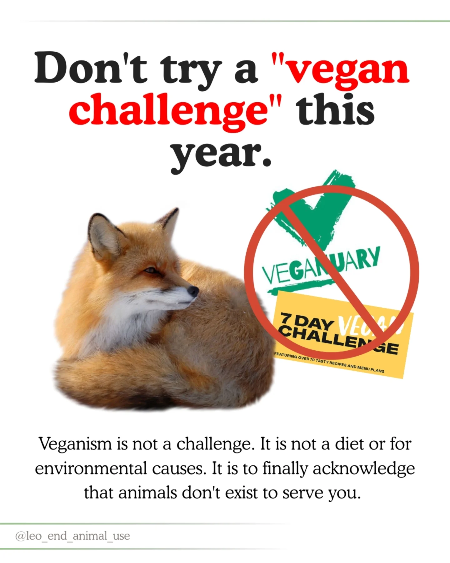 Don`t try a "vegan challenge" this year!