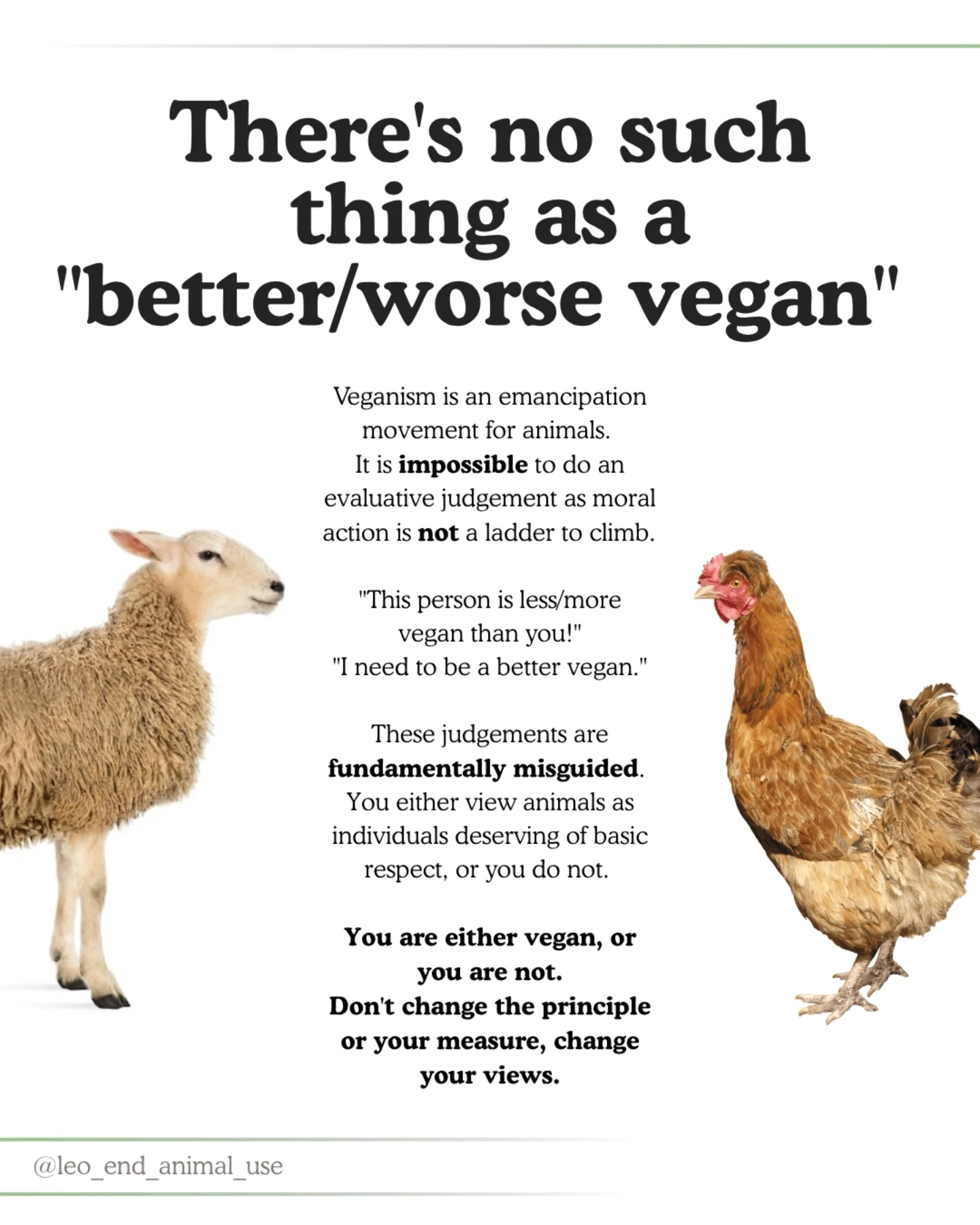 What is and isn't veganism?