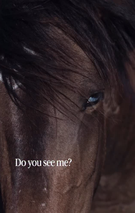 Do you see me?