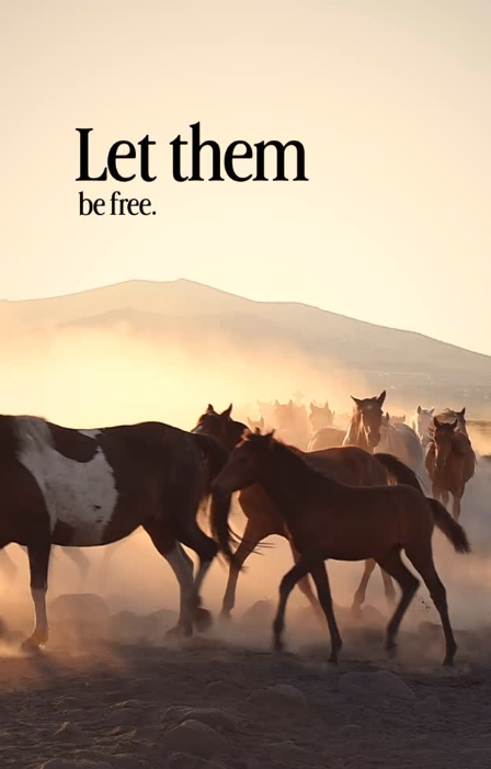 Let them be free