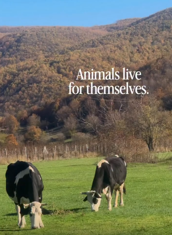 Animals live for themselves