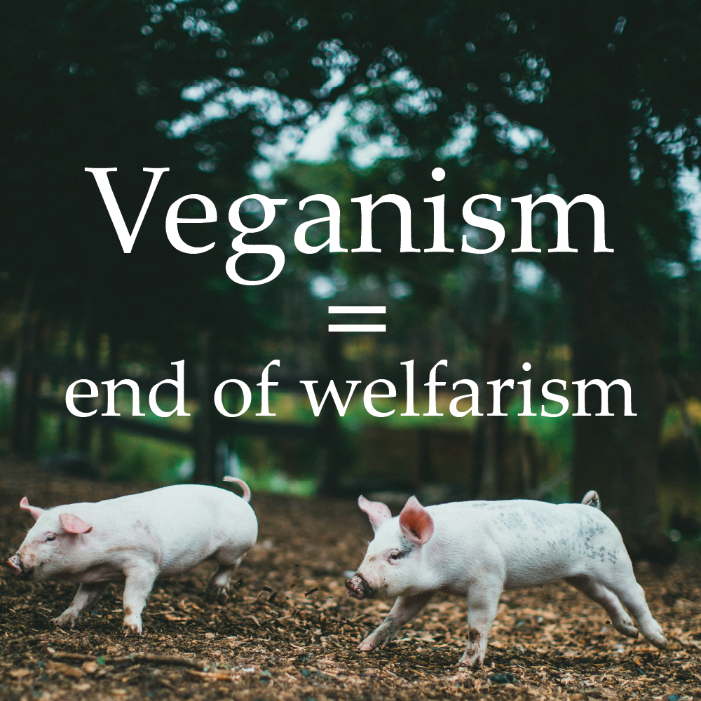 Veganism = end of welfarism