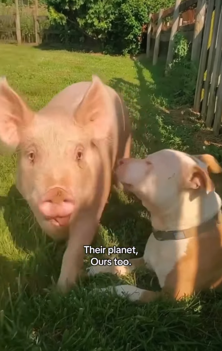 Their planet, ours too