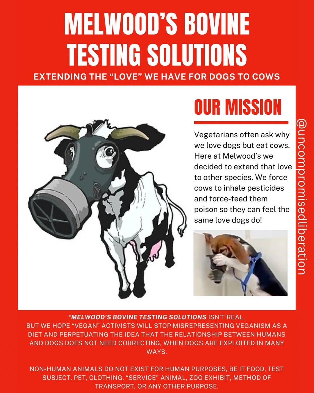 Melwood's bovine testing solutions