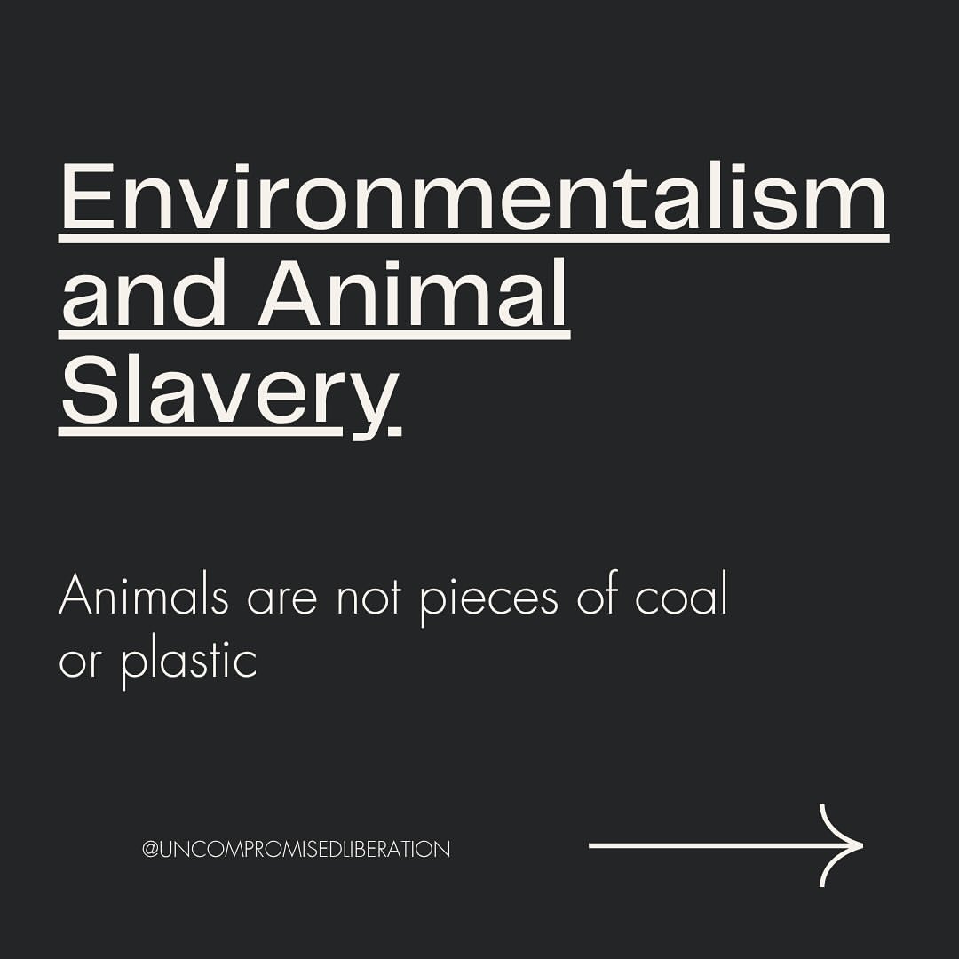 Environmentalism and animal slavery