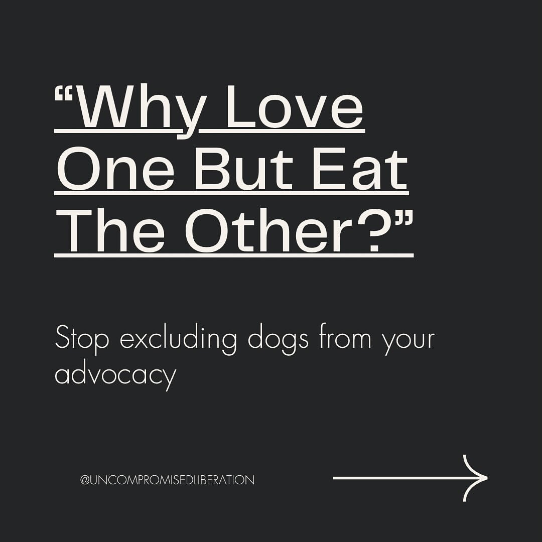 "Why love one but eat the other?" - Stop excluding dogs from your advocacy