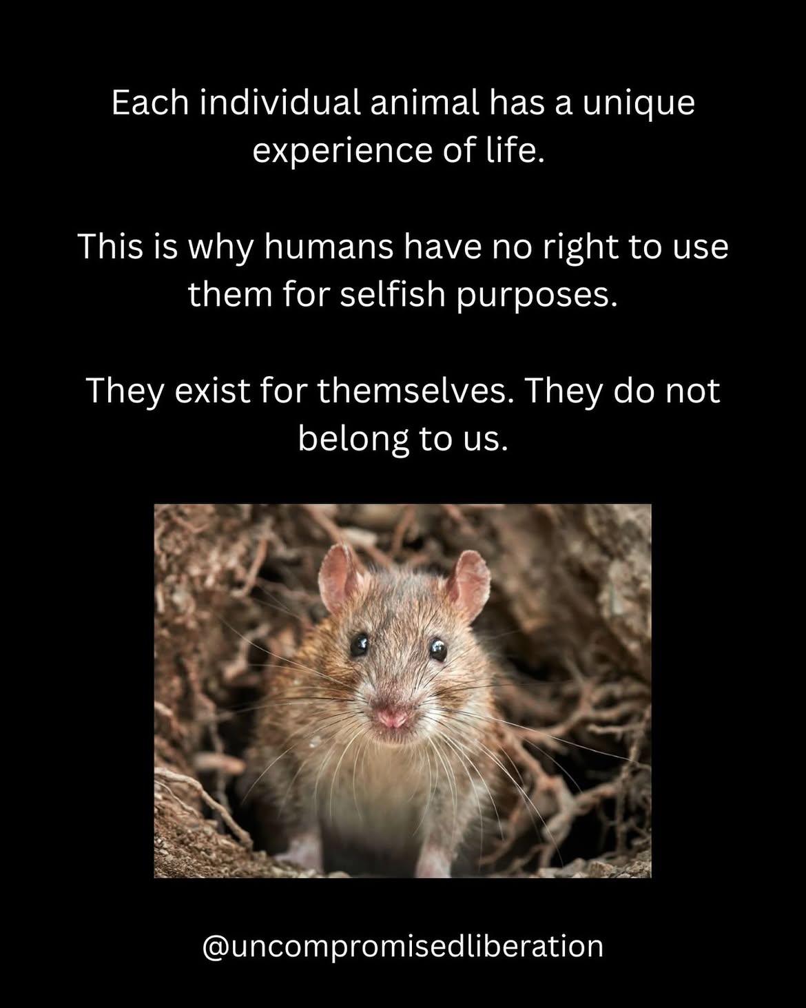 Each individual animal has unique experience of life