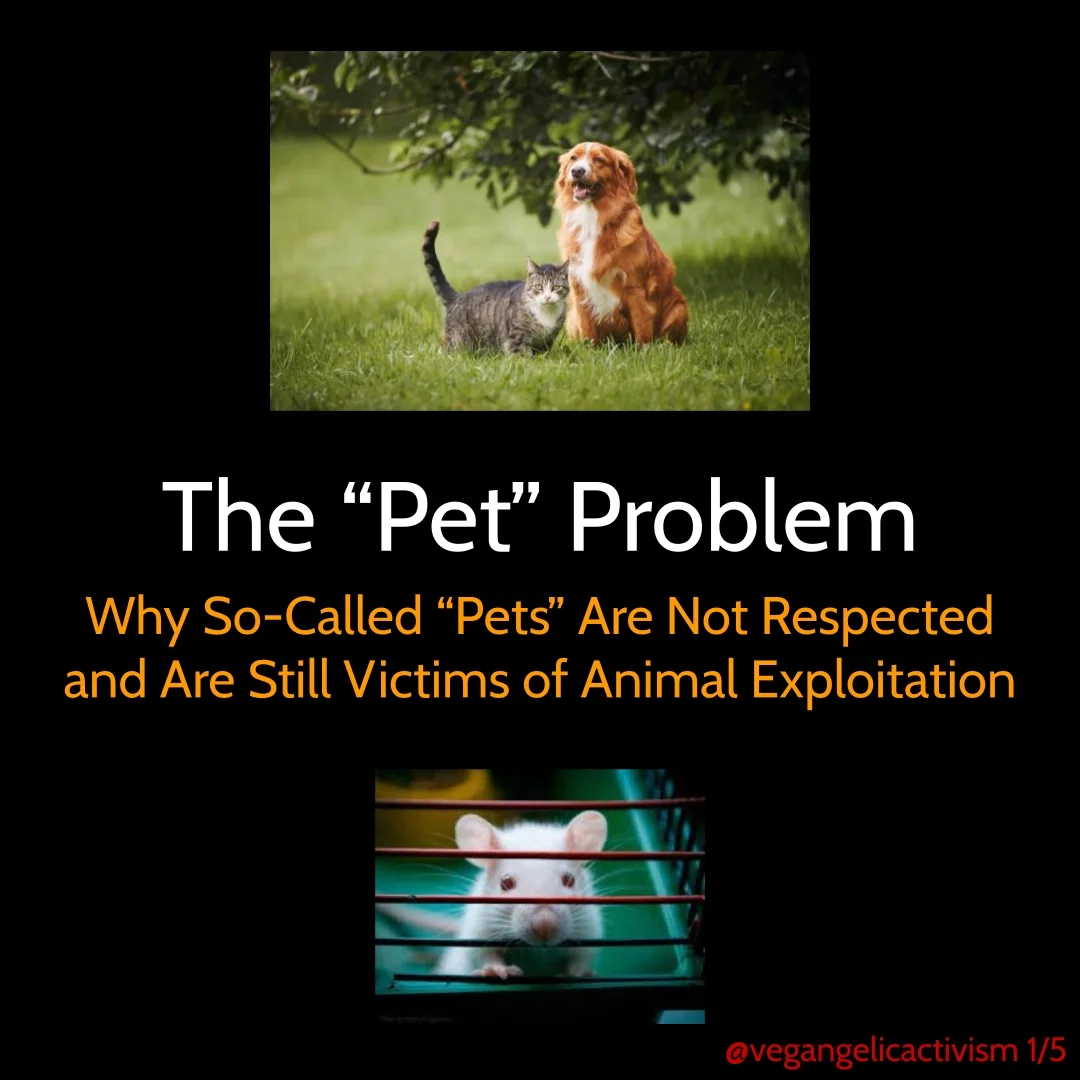 The Pet problem