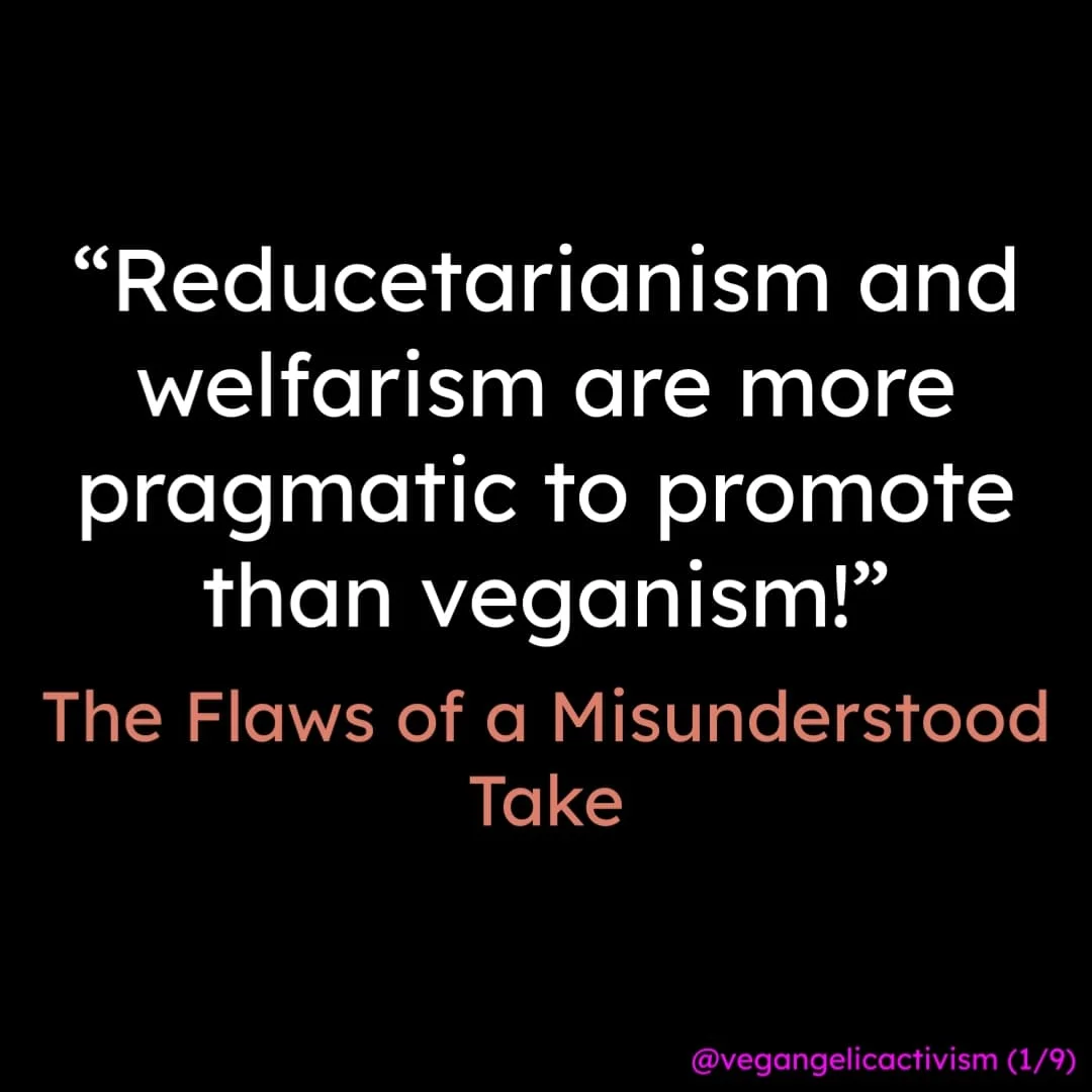 "Reducetarianism and welfarism are more pragmatic to promote than veganism!"