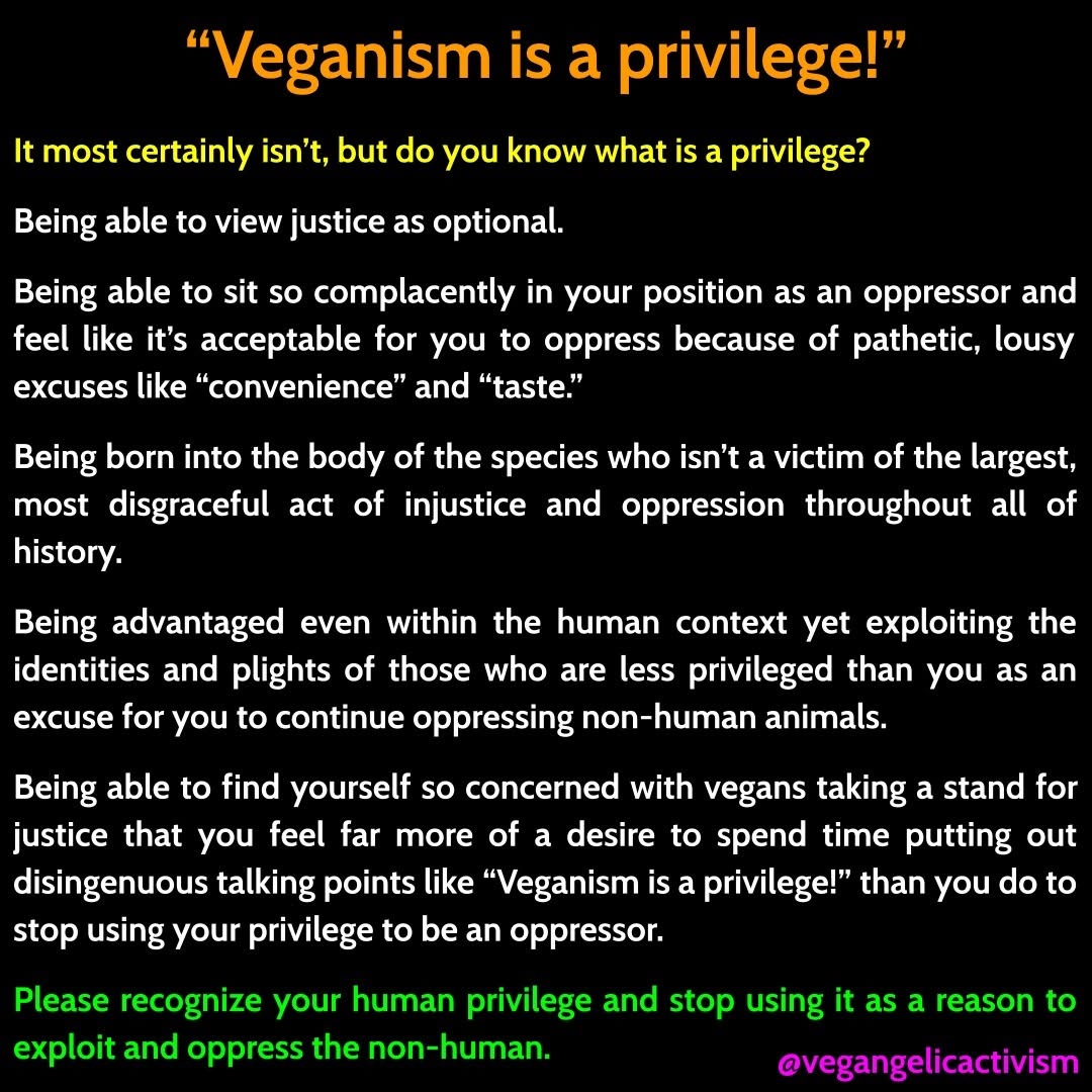 "Veganism is a privilege"