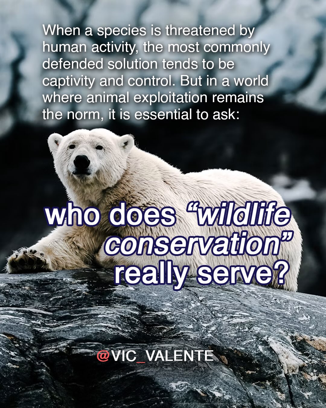 Who does "wildlife" conservation really serve?
