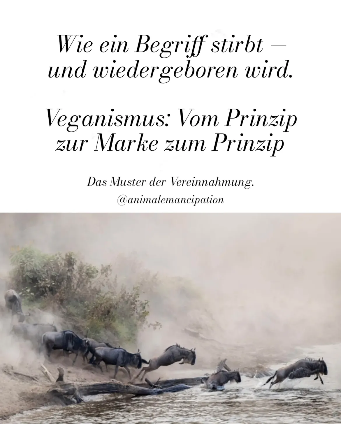 Veganismus: Vom prinzip zur marke zum prinzip