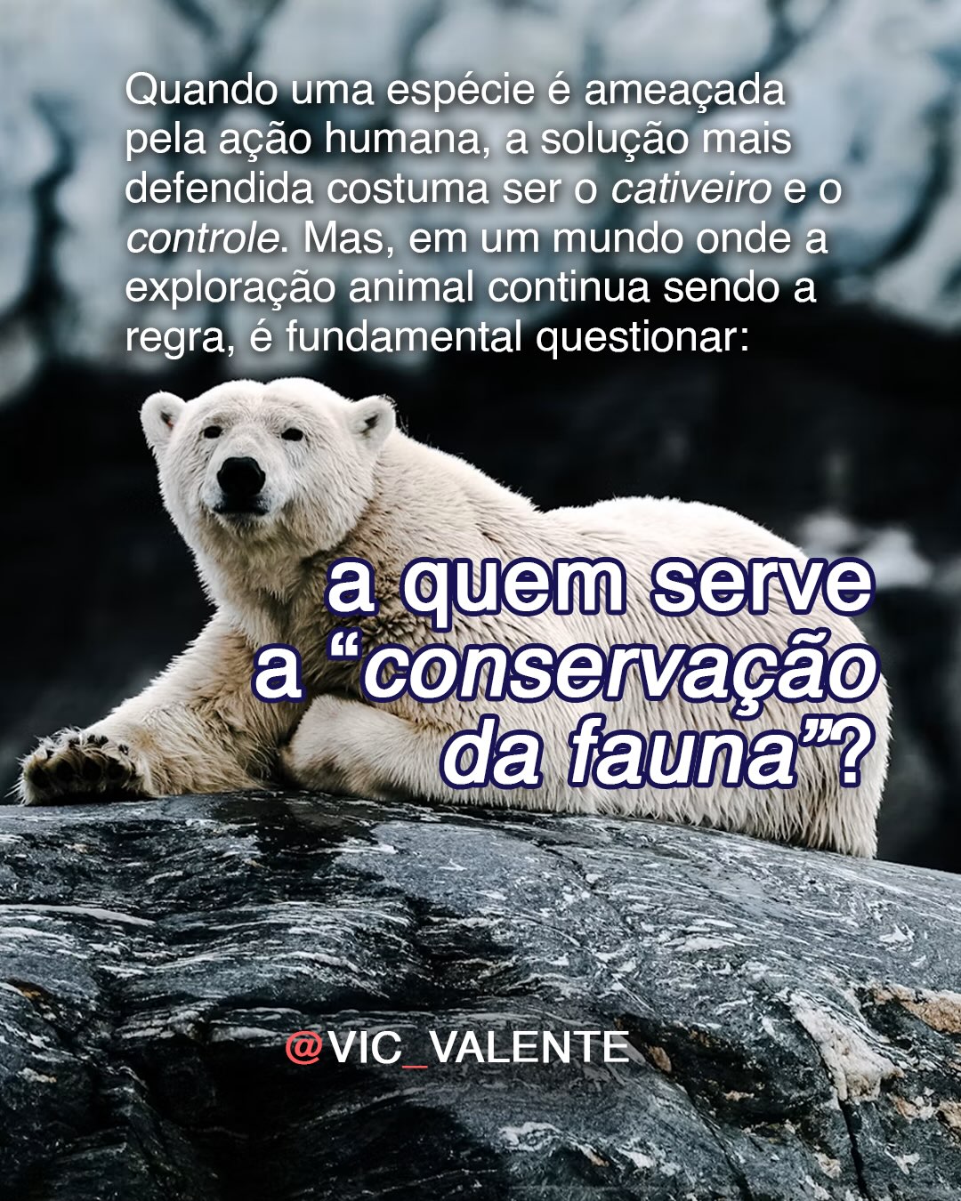 A quem serve a "conservação da fauna"?