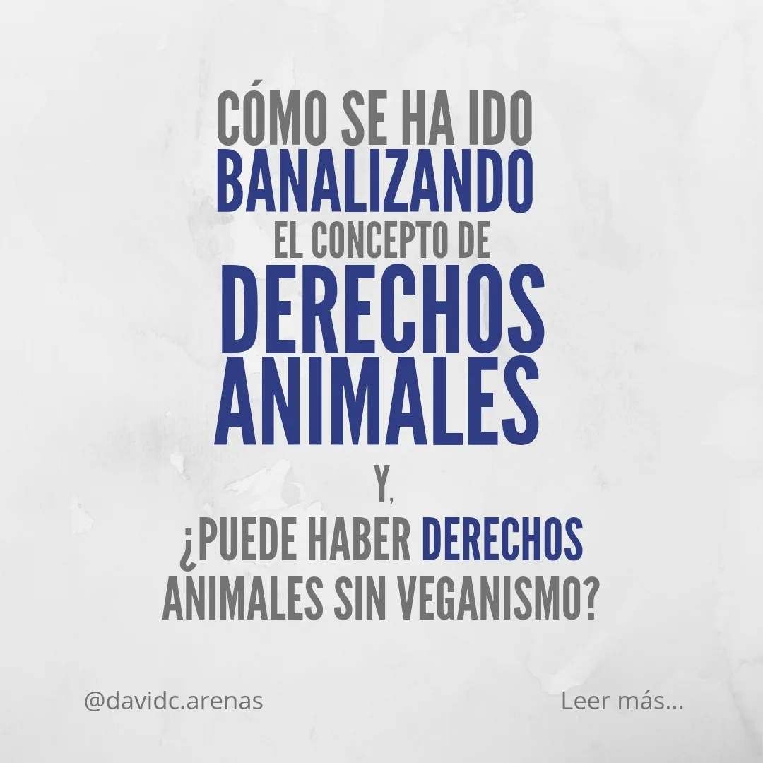 Cómo se ha ido banalizando el concepto de derechos animales