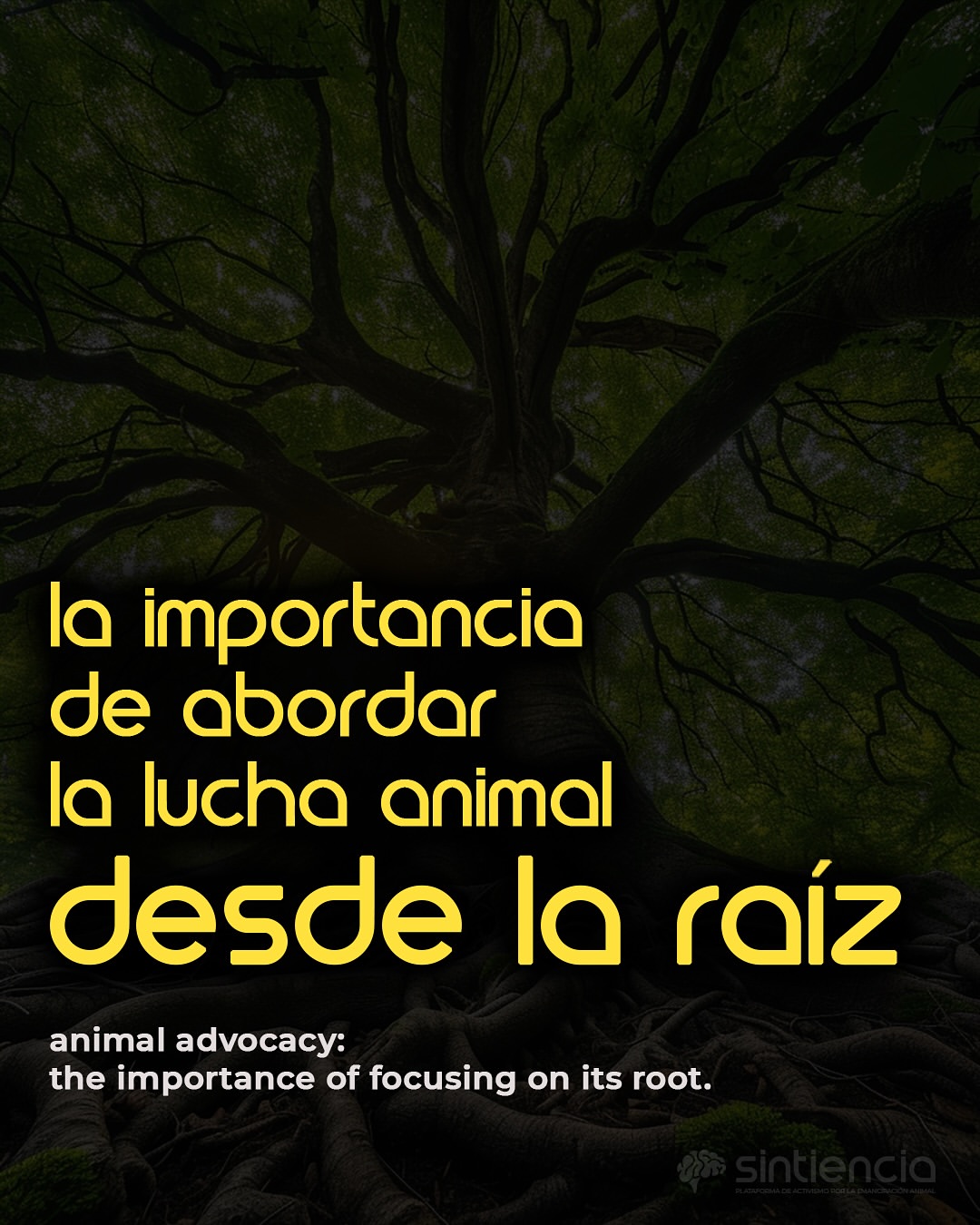 La importancia de abordar de lucha animal desde la raíz