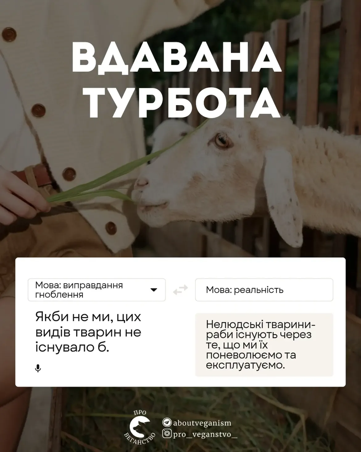Вдавана турбота