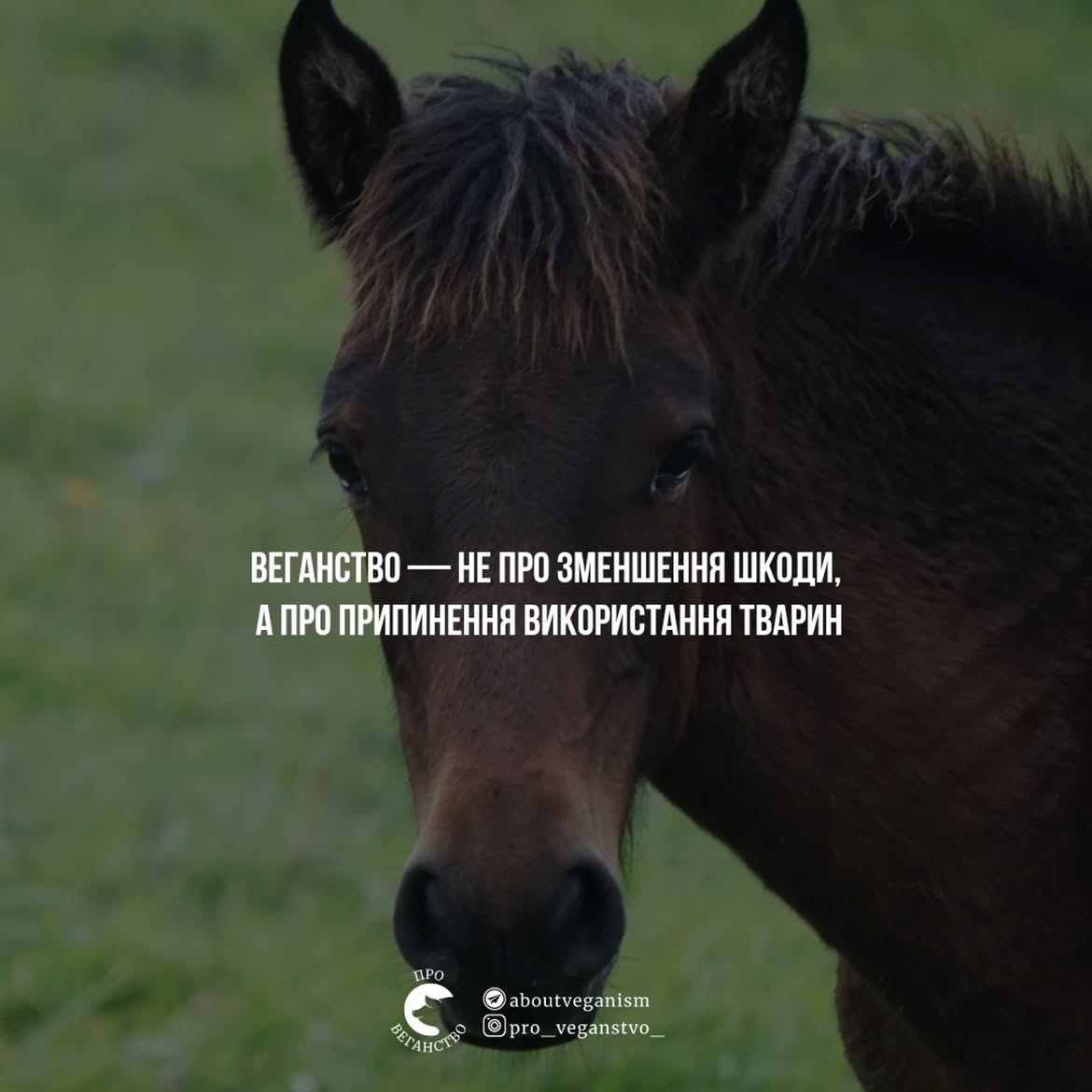 Веганство не про...